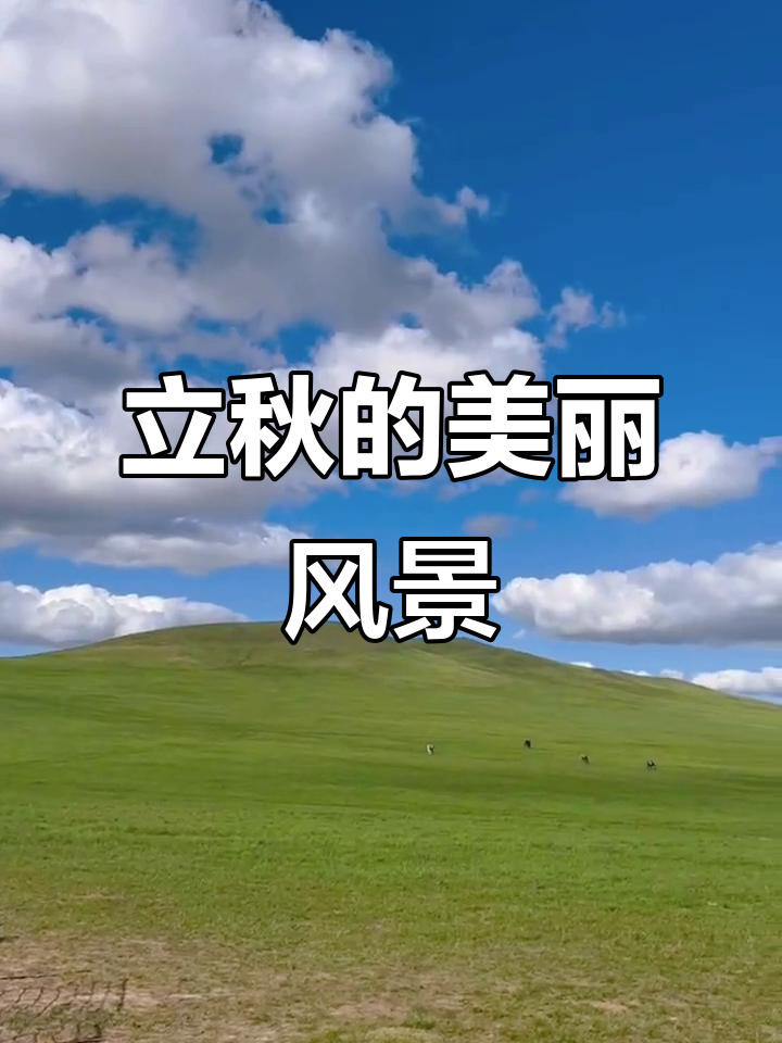 蓝天白云下的立秋美景,治愈心灵的自然风光