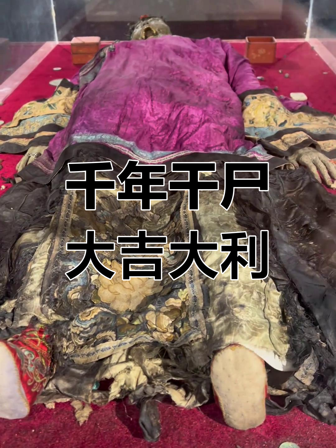 千年干尸现世,见者好运连连