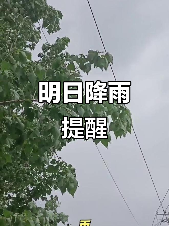 黄岛明天天气预报今日情况 黄岛明天天气预报今日情况