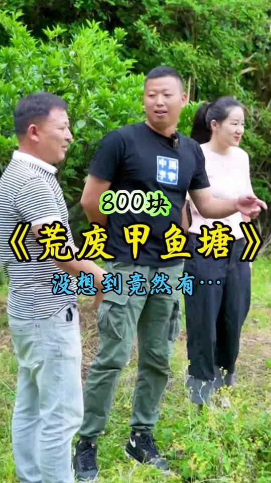 新农人计划2024 小飞哥 甲鱼 优质农产品