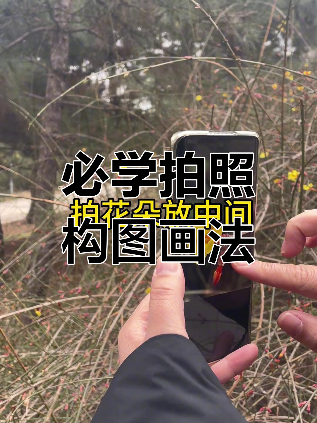 业余摄影构图教程，一分钟就会