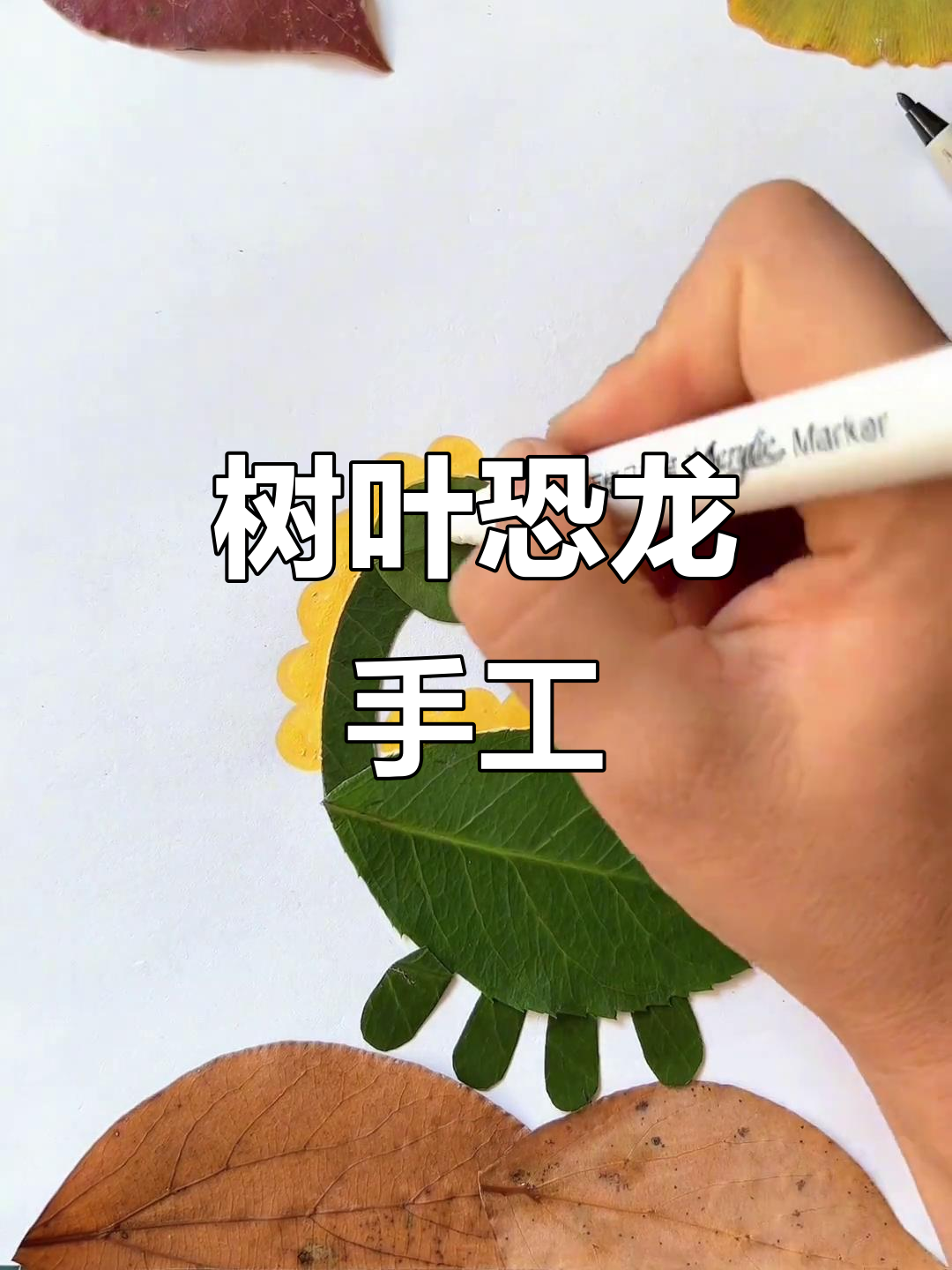 用秋叶拼贴可爱恐龙,霸王龙,翼龙都能做!