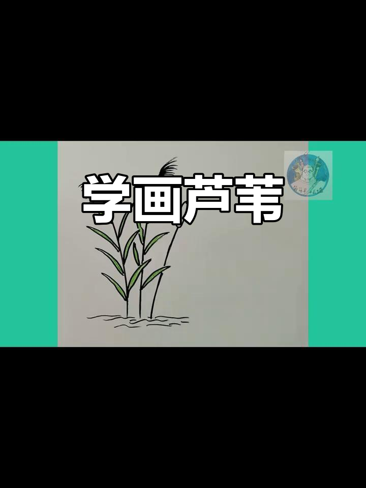 芦苇简笔画教程,轻松学会画美丽自然景色