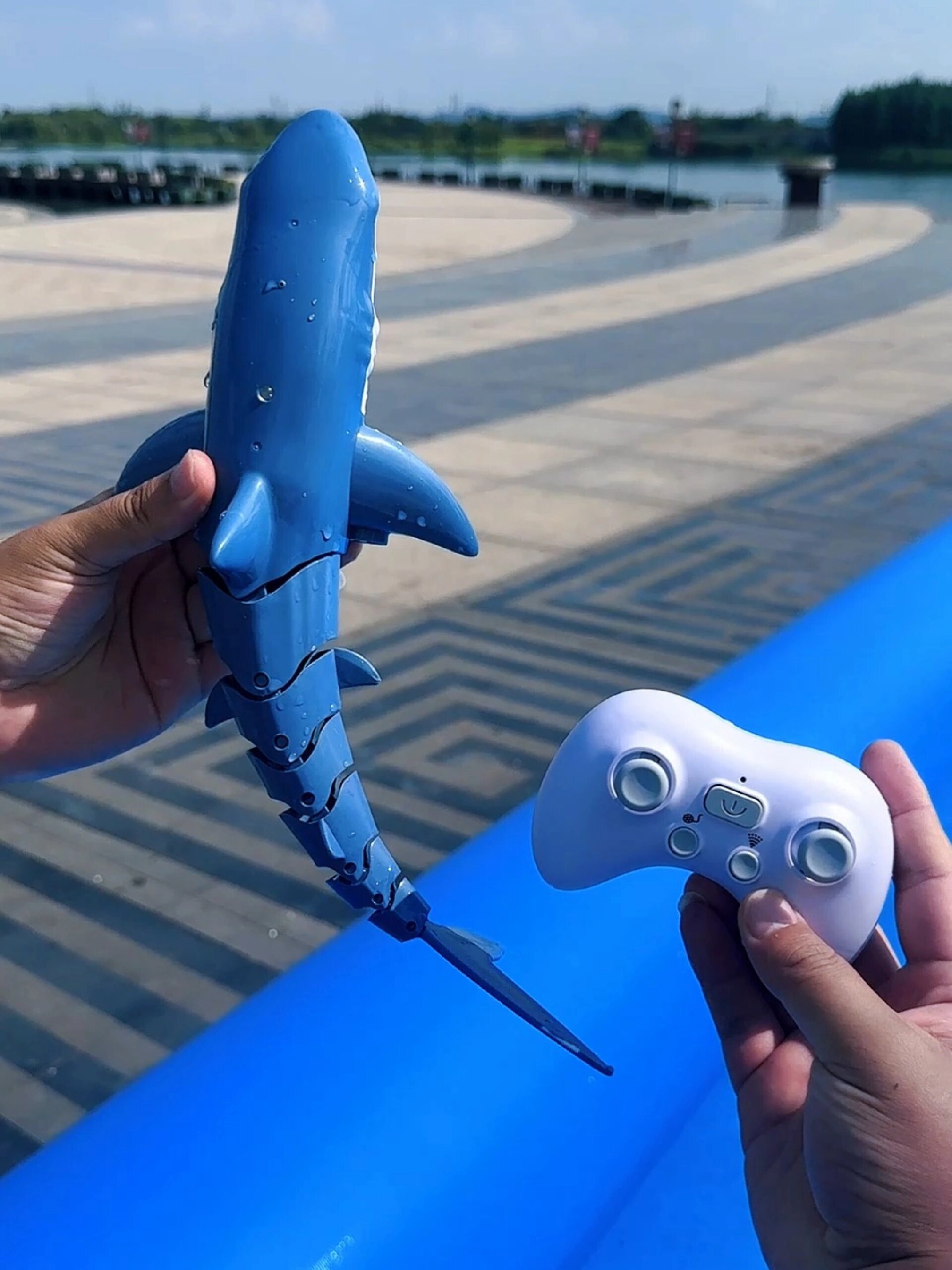 遥控鲨鱼