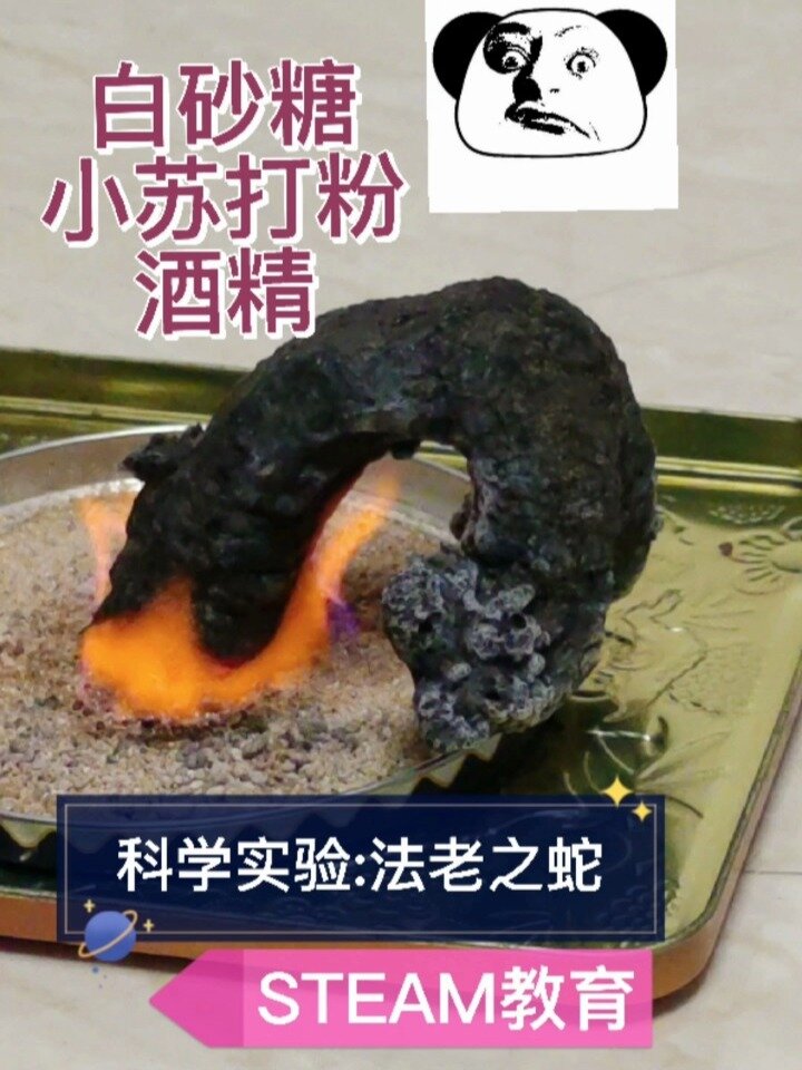 小学生科学实验no4法老之蛇