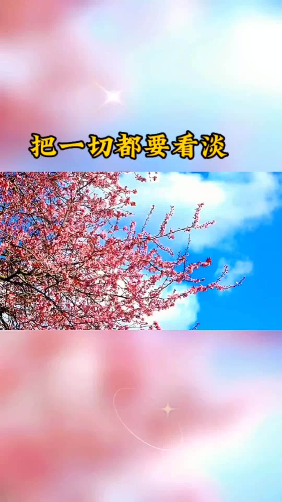 把一切都看淡 情感 情感文案 情感语录 励志语录 生活感悟