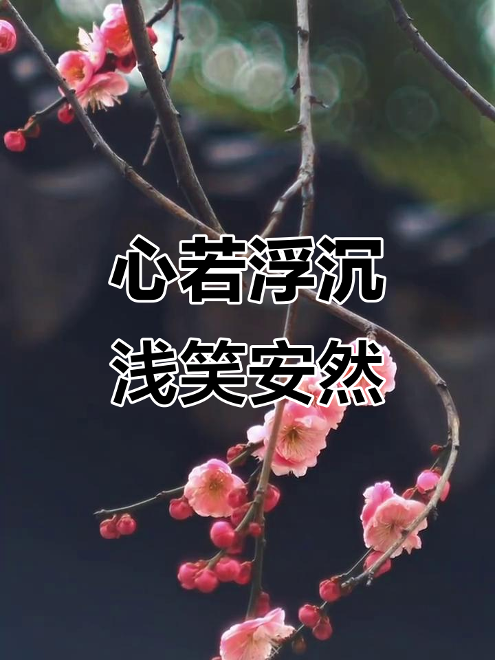 梅花盛开,清风徐来,心境如初的淡然微笑