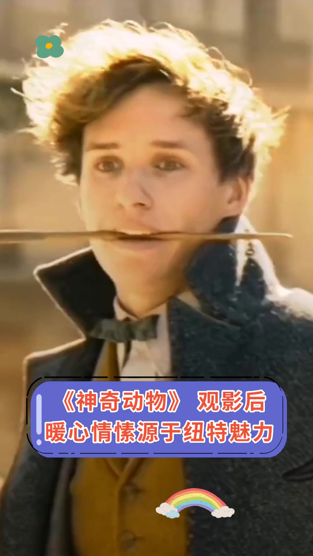 《神奇动物》观影后,暖心情愫源于纽特魅力