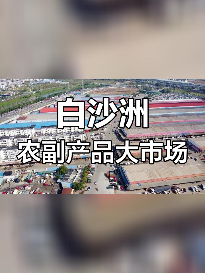 武汉白沙洲市场繁忙景象航拍
