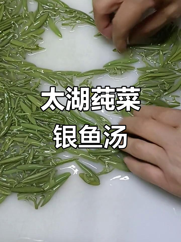 莼菜银鱼羹,太湖特产的美味传承