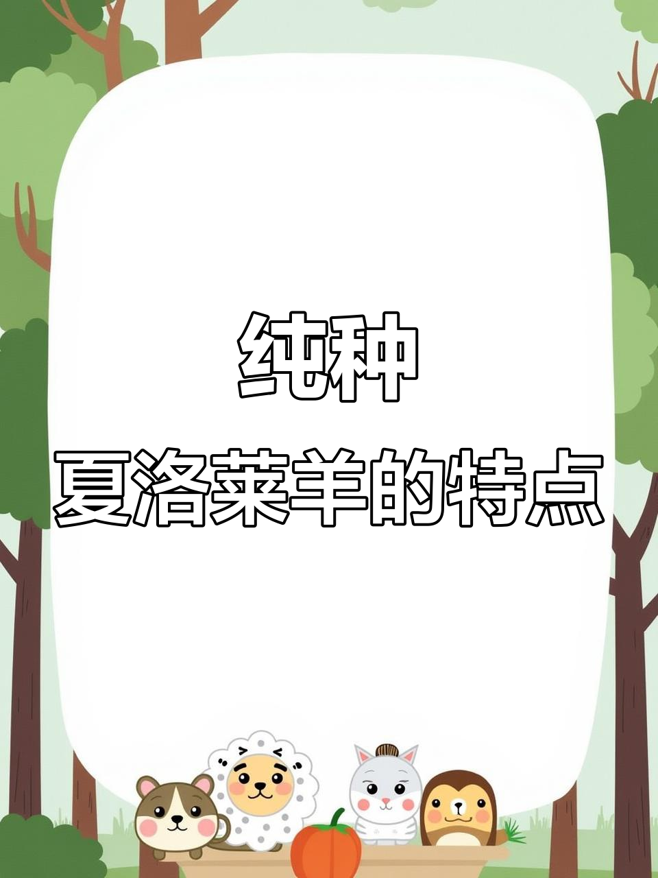 纯种夏洛莱羊与萨福克公羊的完美结合,生长迅速,骨架强健