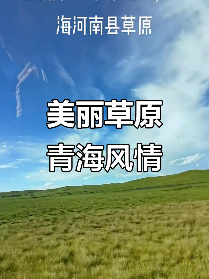 青海河南县大草原:万里晴空下的壮丽风光