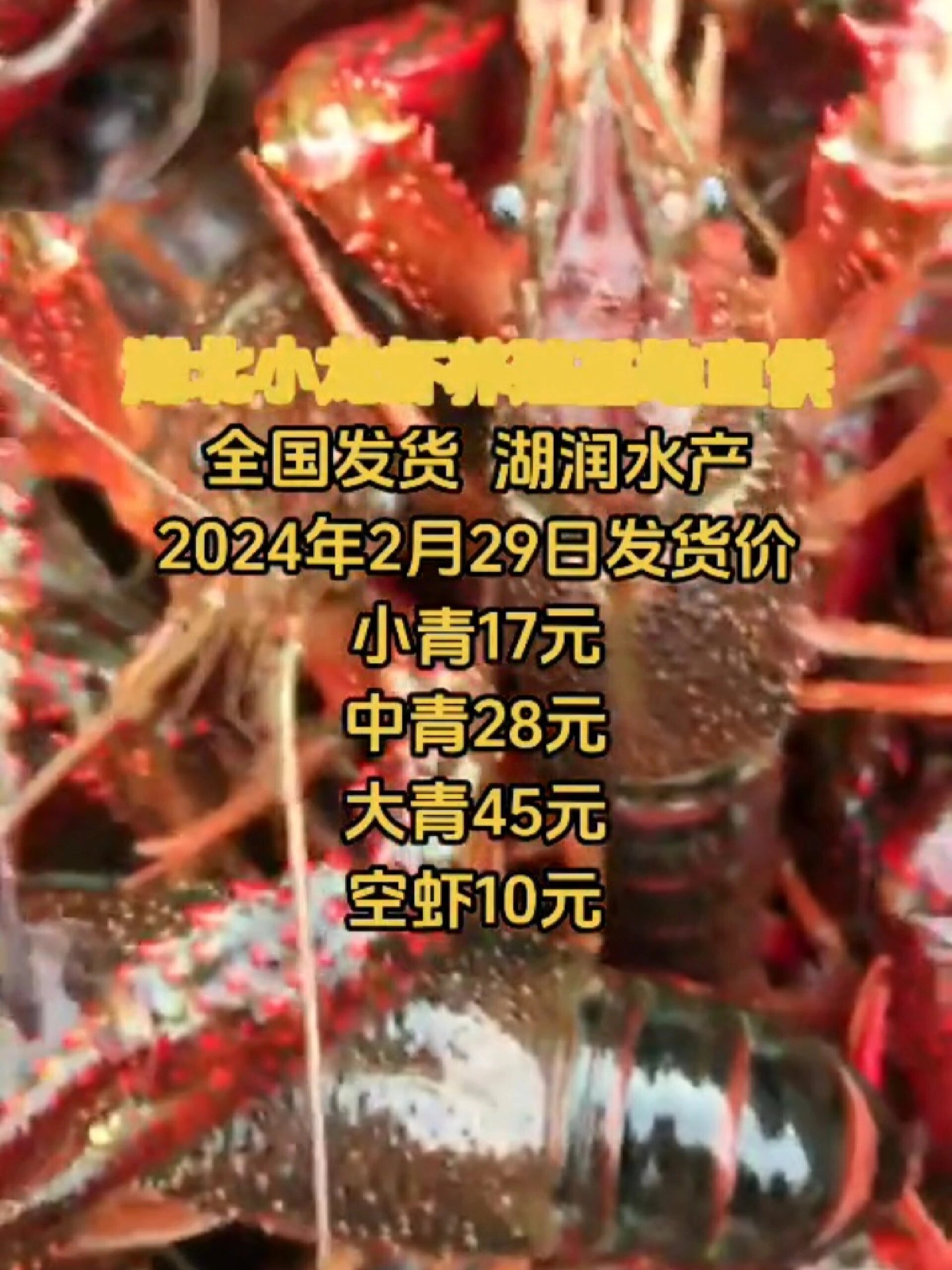 湖北小龙虾养殖基地直供全国2024年2月29日