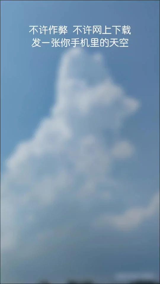 鄄城今天天气预报
