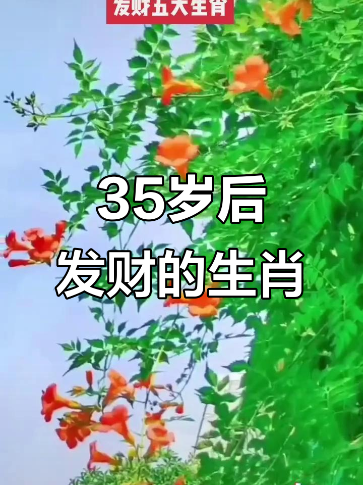 中年后运势最好的生肖(中年后运势最好的生肖男)