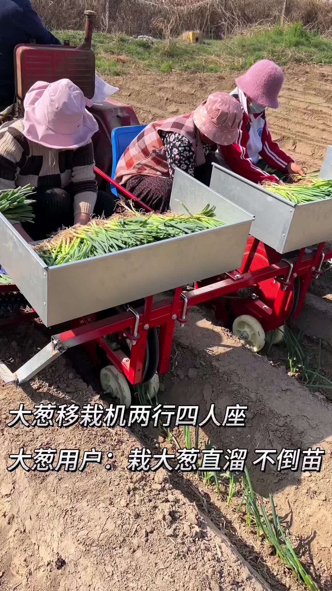 大葱种植 移栽机 农业机械 新农人计划2023 抖音农机热门
