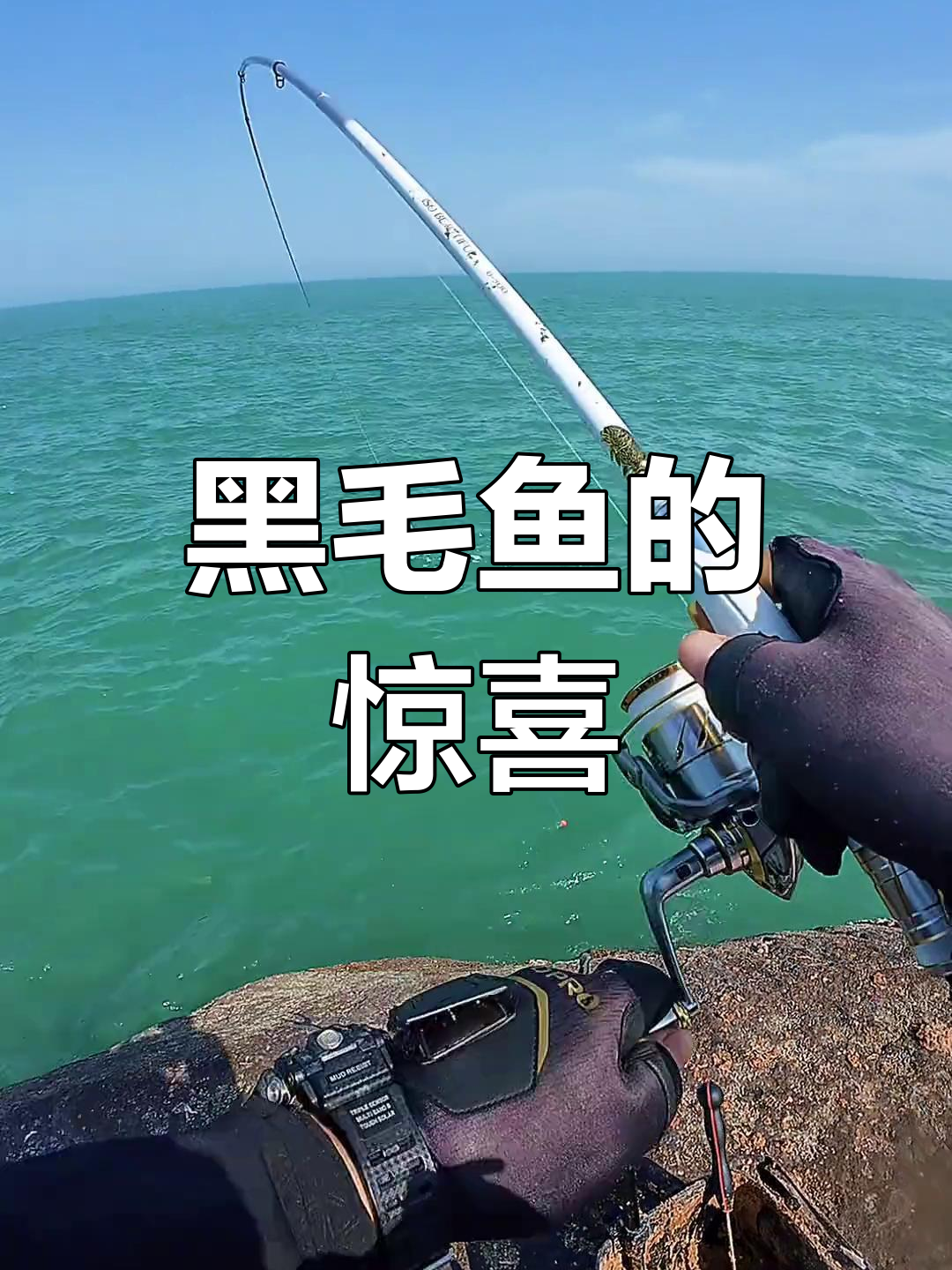 南麂岛4月罕见黑毛鱼现身,大春鲷意外来袭!