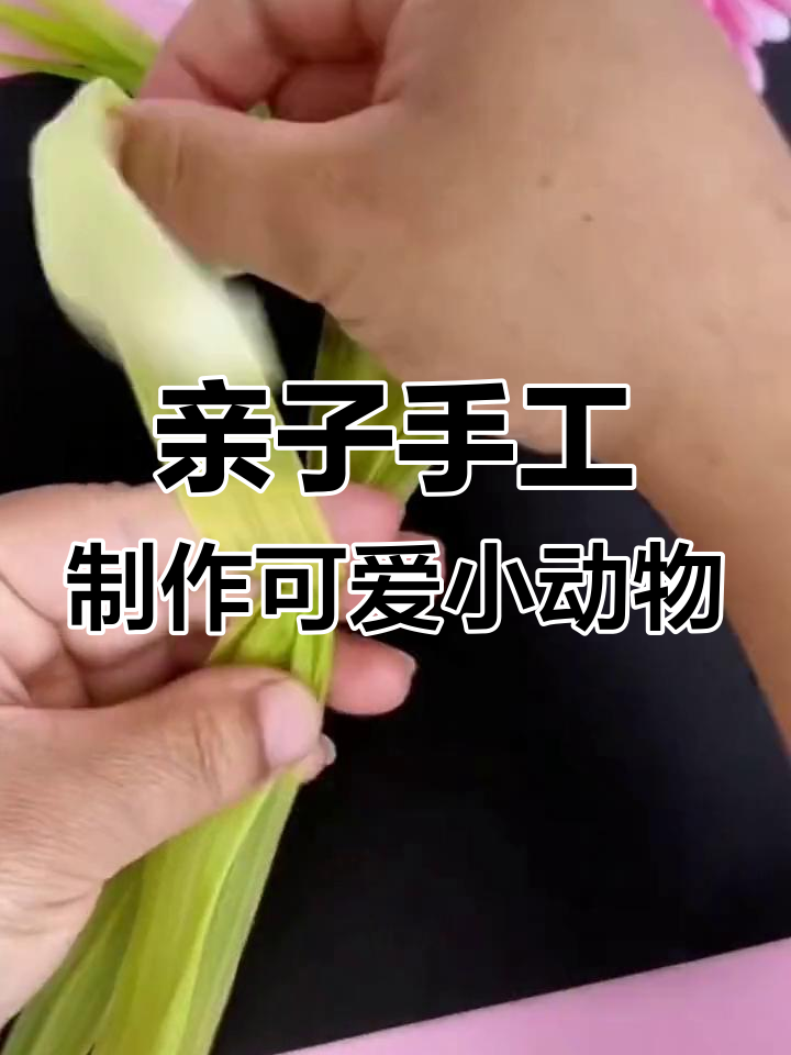 手工制作尾巴视频教程(手工制作尾巴视频教程大全)