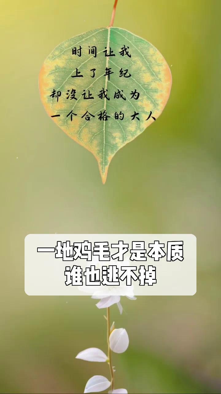 一地鸡毛才是本质,谁也逃不掉