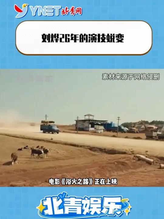 刘烨 硬汉 美人草 守岛人