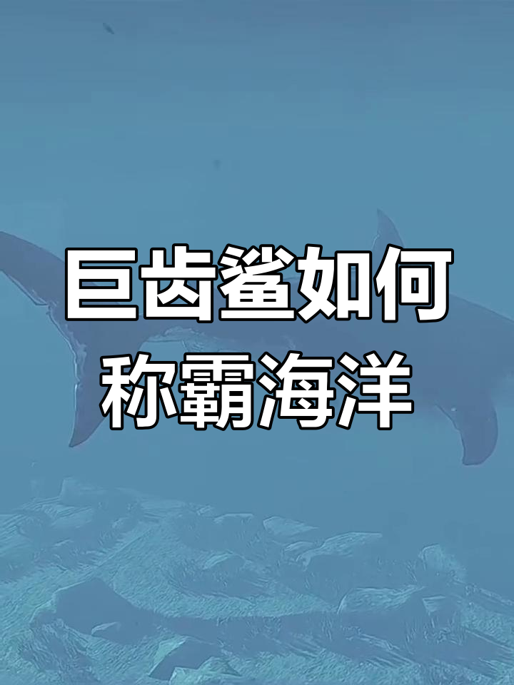 为何巨齿鲨会灭绝