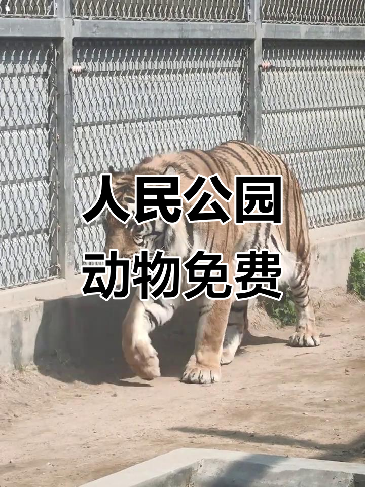 人民公园动物免费开放,快来和它们亲密接触!