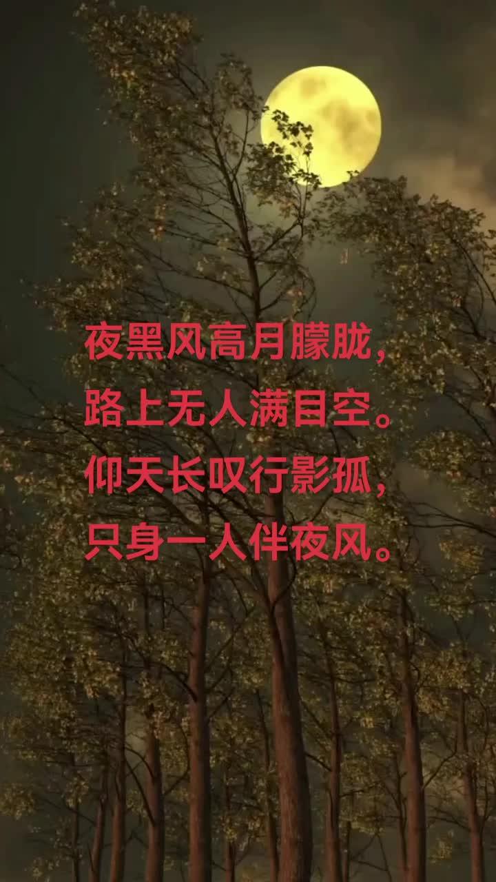 仰天长叹行影孤,只身一人伴夜风