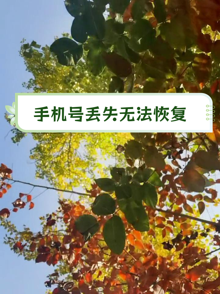 手机号丢失,补办新卡后号码全无