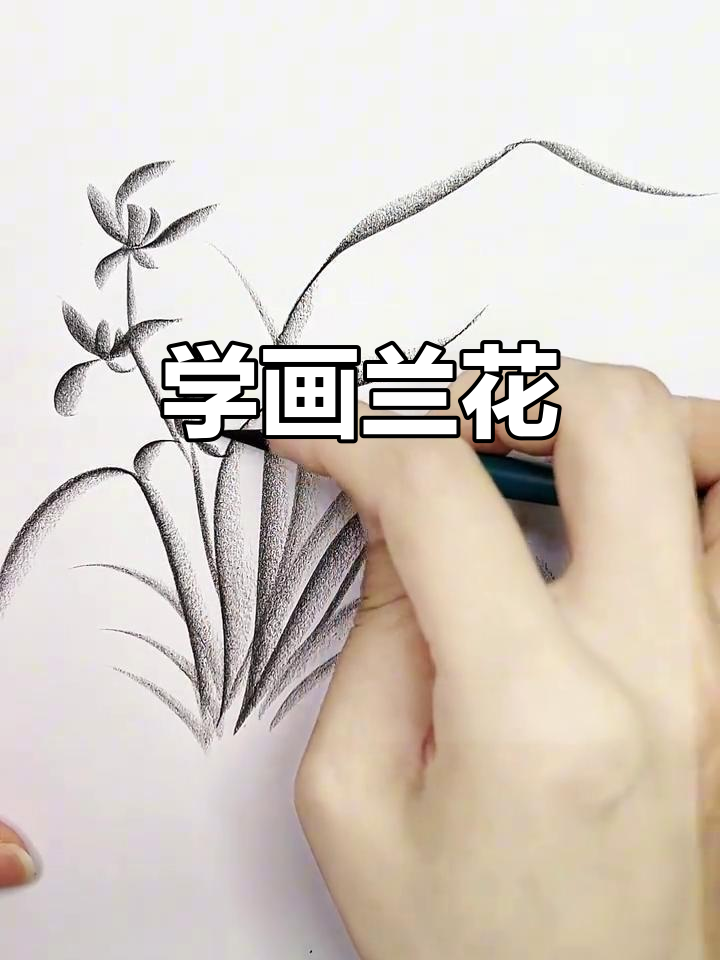零基础学炭笔画兰花,轻松掌握手绘技巧