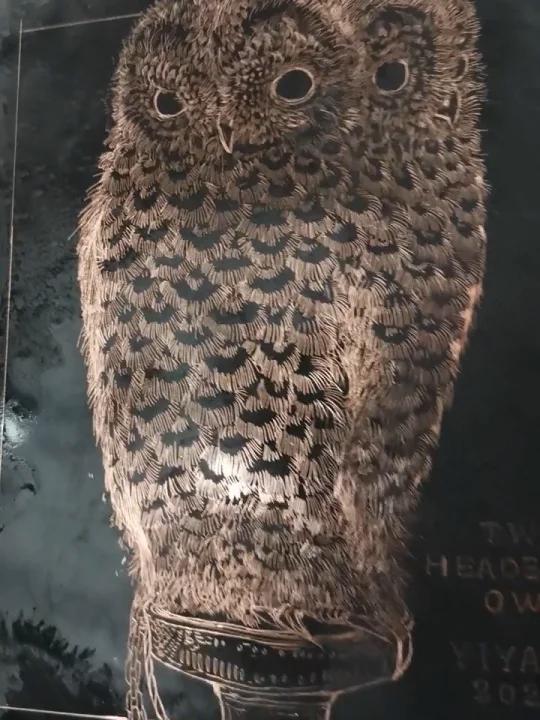 铜板61双头猫头鹰-度小视