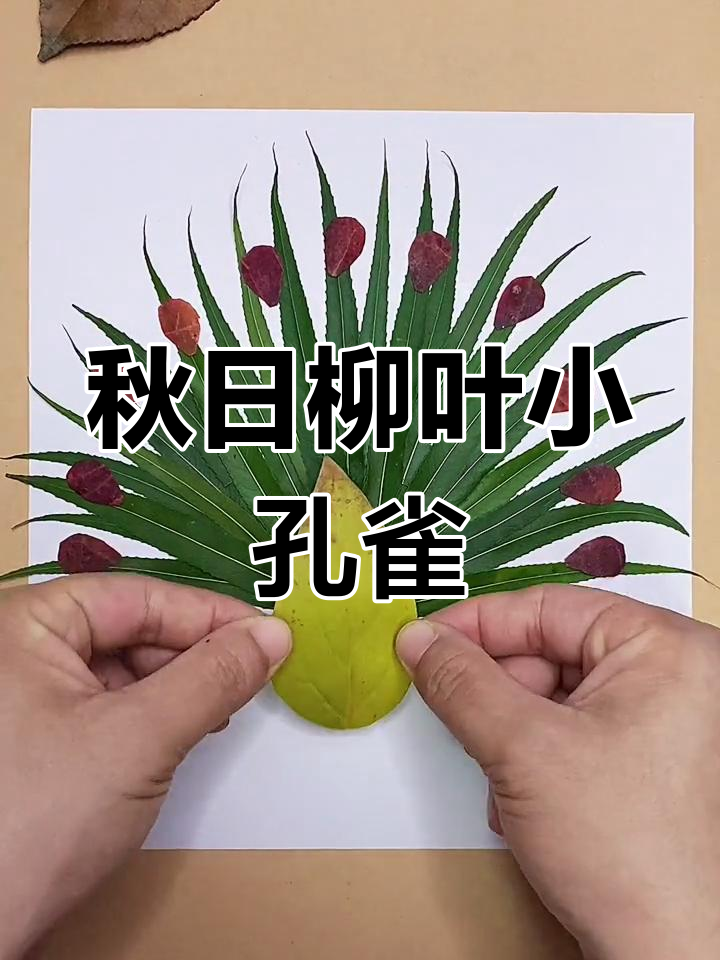 用柳叶做可爱孔雀,简单又有趣的手工项目