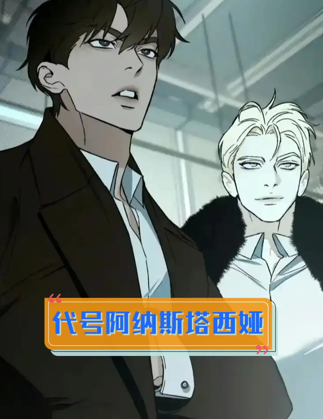 代号阿纳斯塔西娅