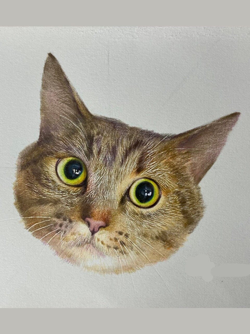 零基础小白都是用这个方法画彩铅动物毛发-度小视