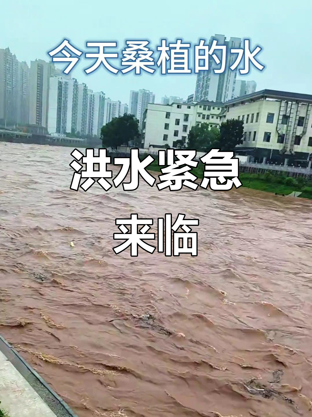 梦到发洪水自己安全,梦见发洪水自己成功逃生 梦到发洪水自己安全,梦见发洪水自己成功逃生