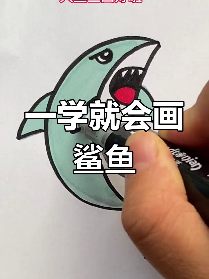轻松学会画大鲨鱼