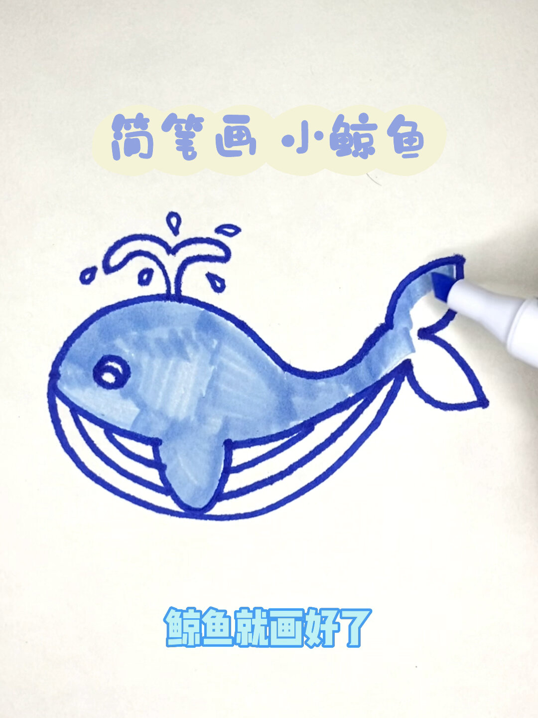 鲸鱼简笔画法图片