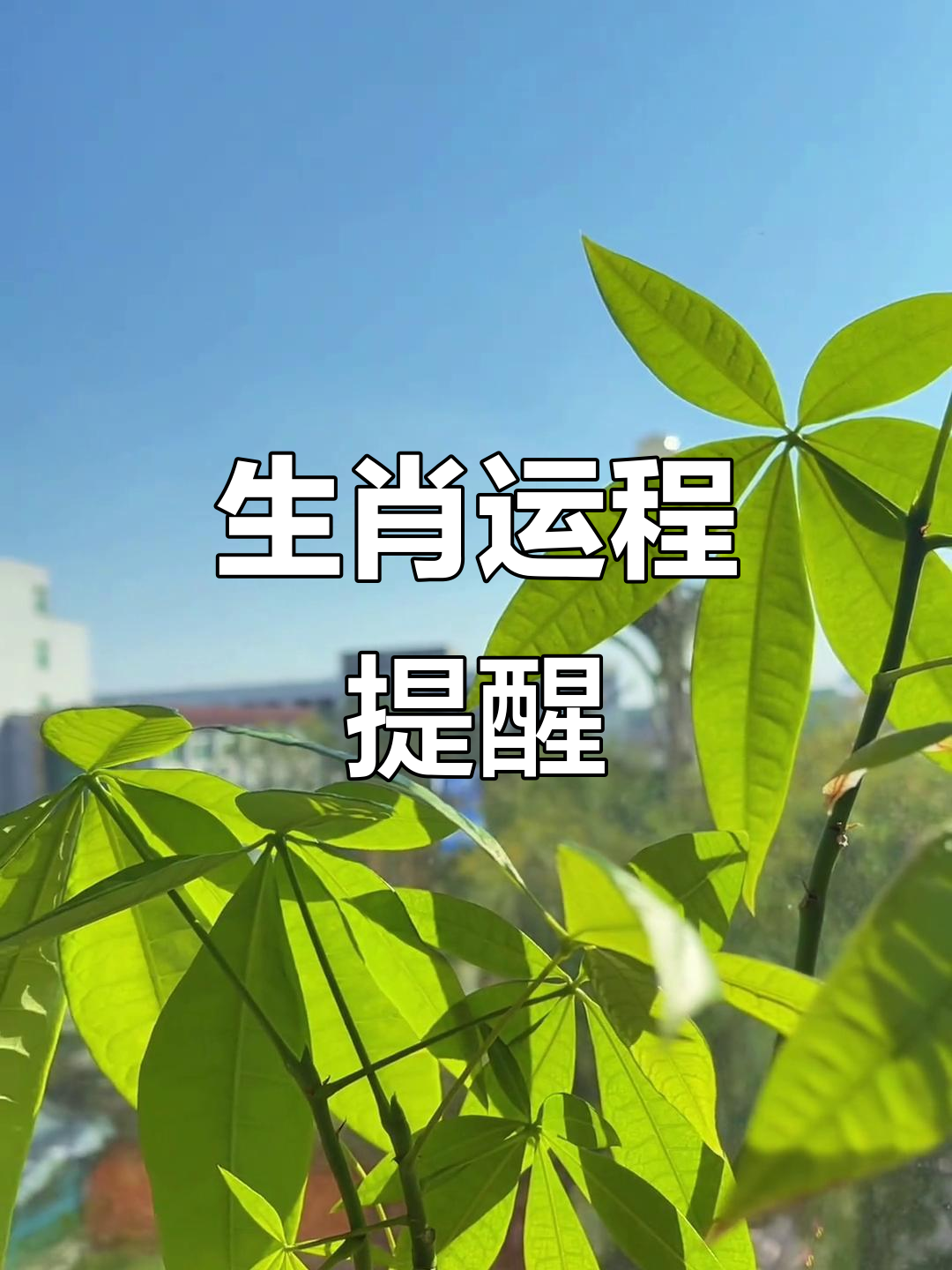 生肖运势蛇猪猴大吉(猪蛇猴三刑怎么化解)