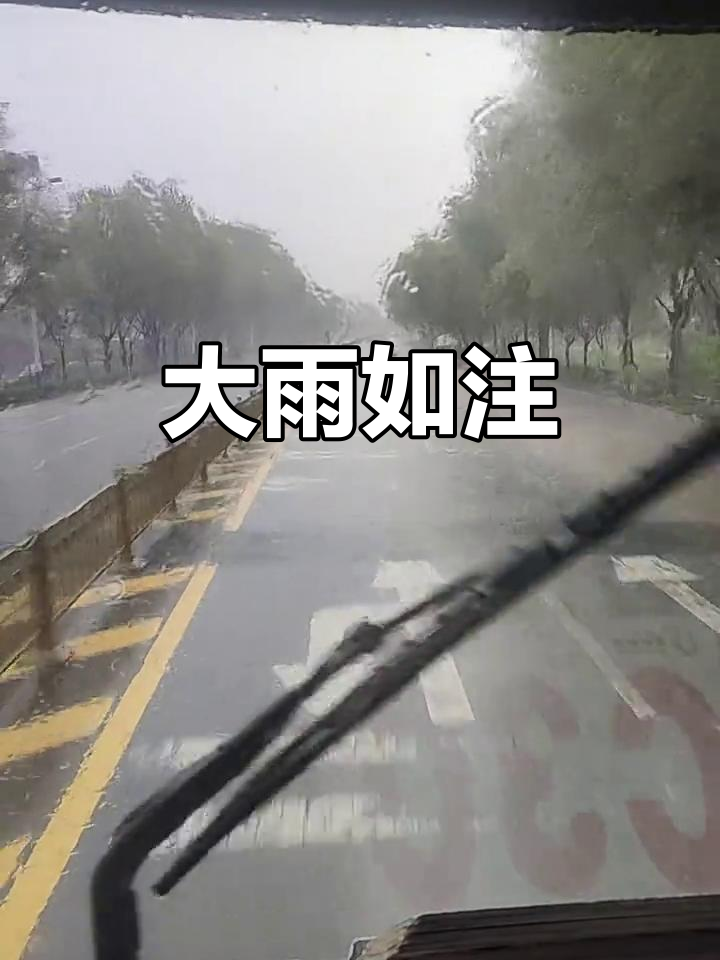 暴雨来袭,瓢泼大雨瞬间倾盆而下