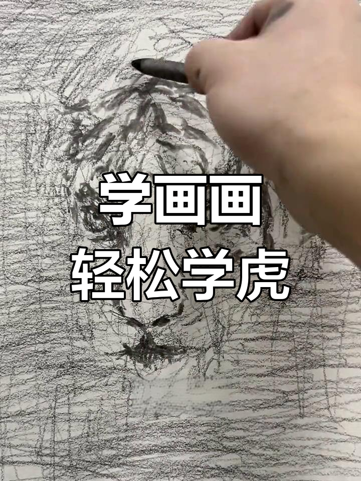 老虎素描画一步一步图片