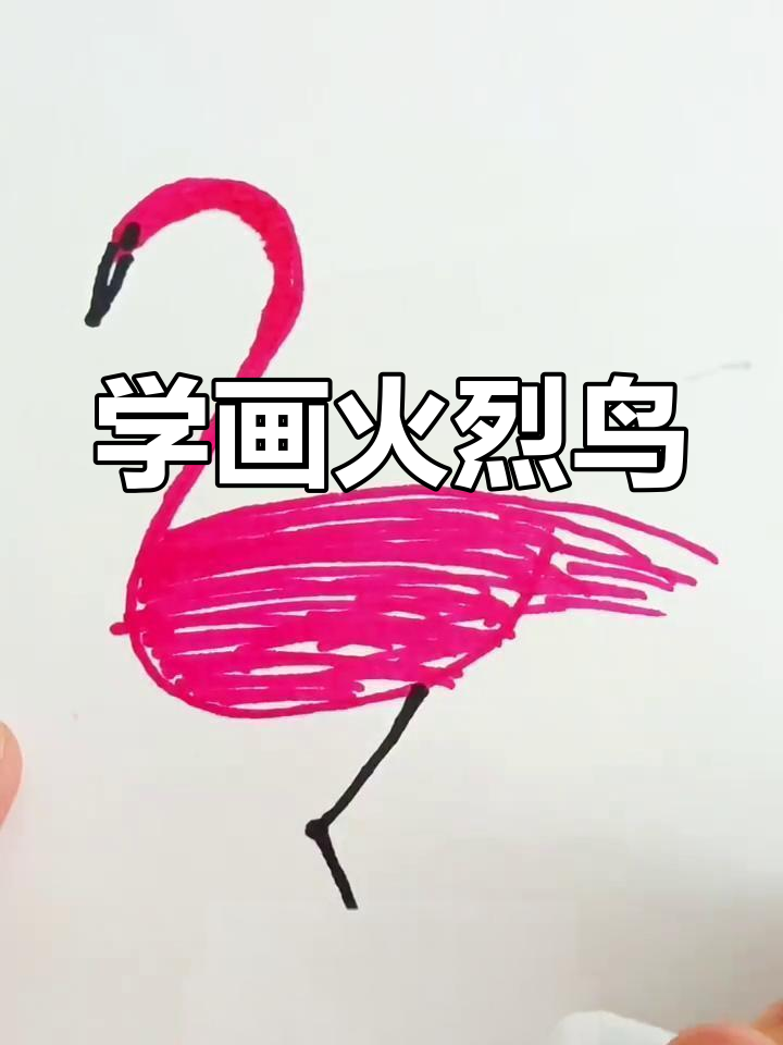 火烈鸟粉色的简笔画图片