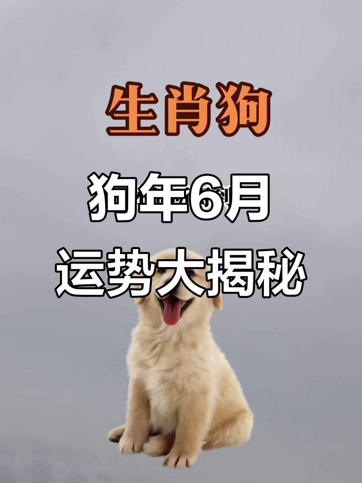 狗的运势生肖正月出生(正月出生的属狗)