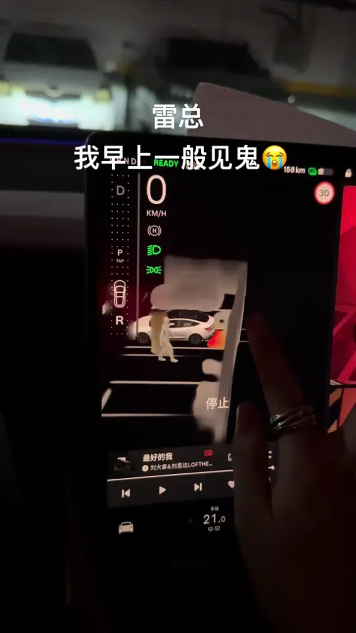 雷总 你怎么看,特斯拉纯视觉