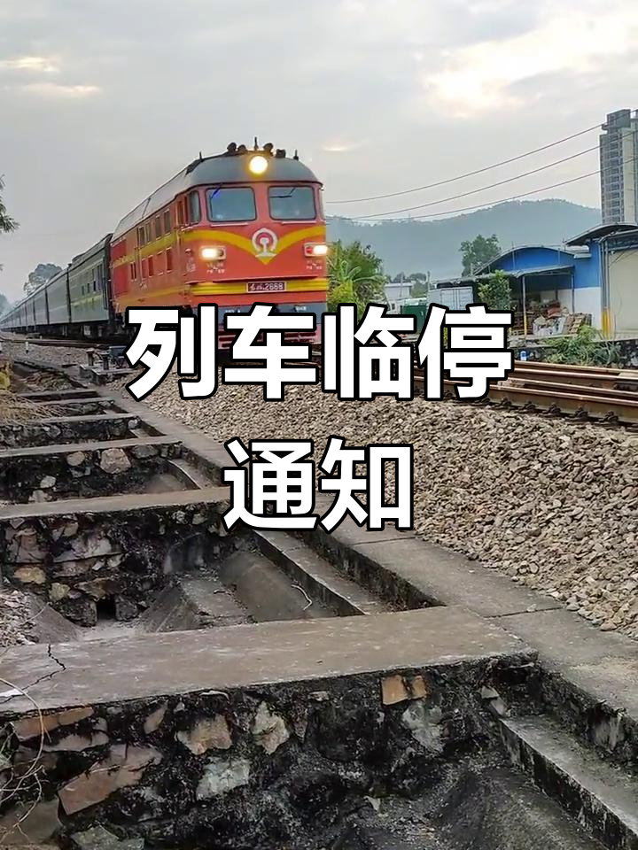京哈高铁部分列车采取临时停运措施