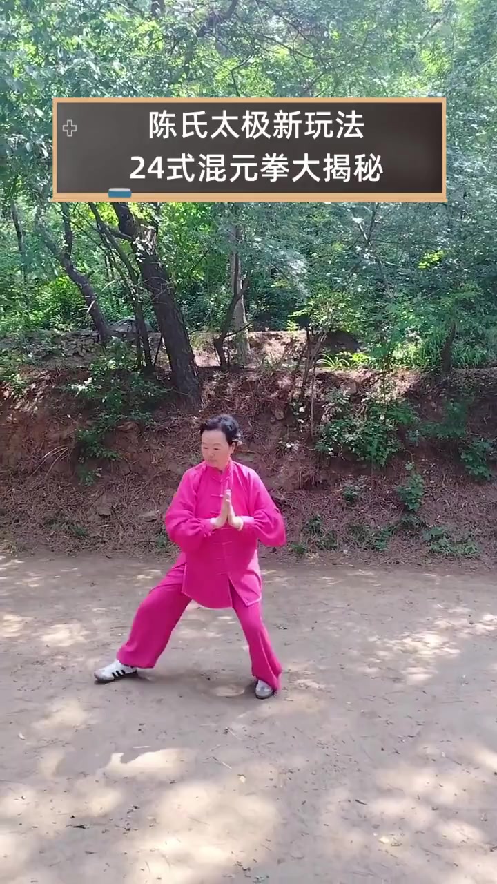 陈氏太极新玩法,24式混元拳大揭秘