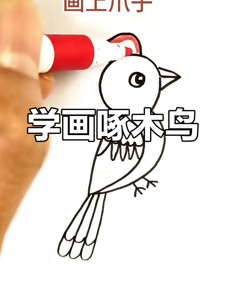 轻松画出可爱啄木鸟,步骤简单有趣