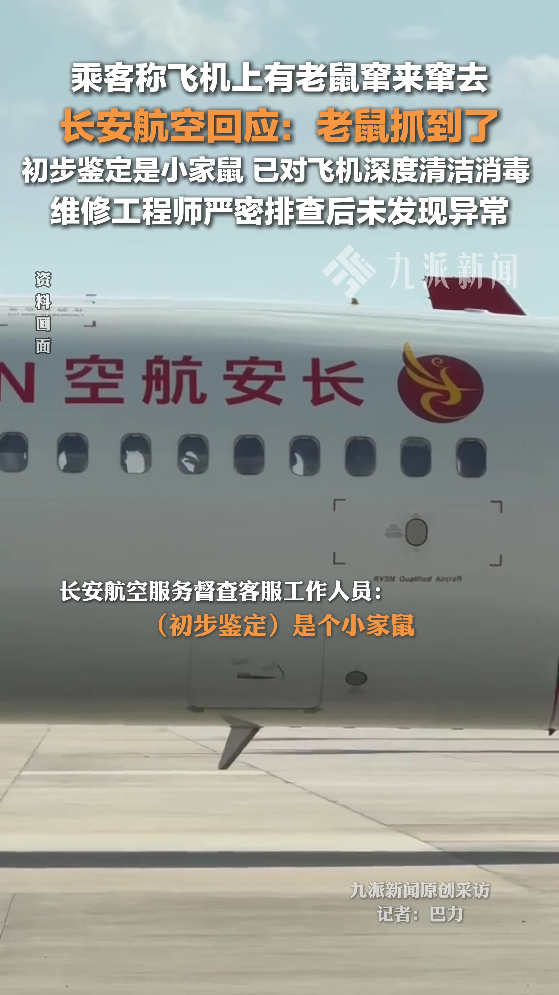 长安航空回应飞机上有老鼠:抓到了,初步鉴定是小家鼠,已对飞机深度
