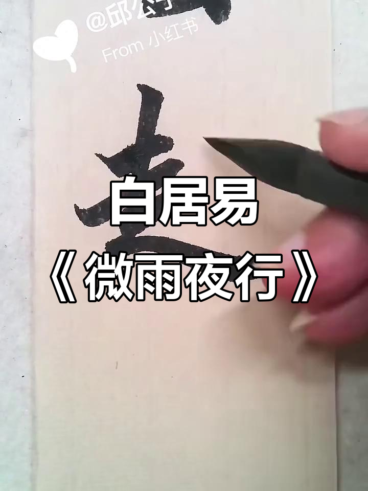 微雨夜行,白居易的诗意与心境