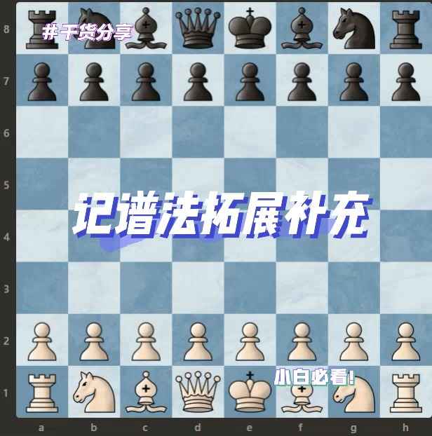 国际象棋小白必看之记谱法拓展补充