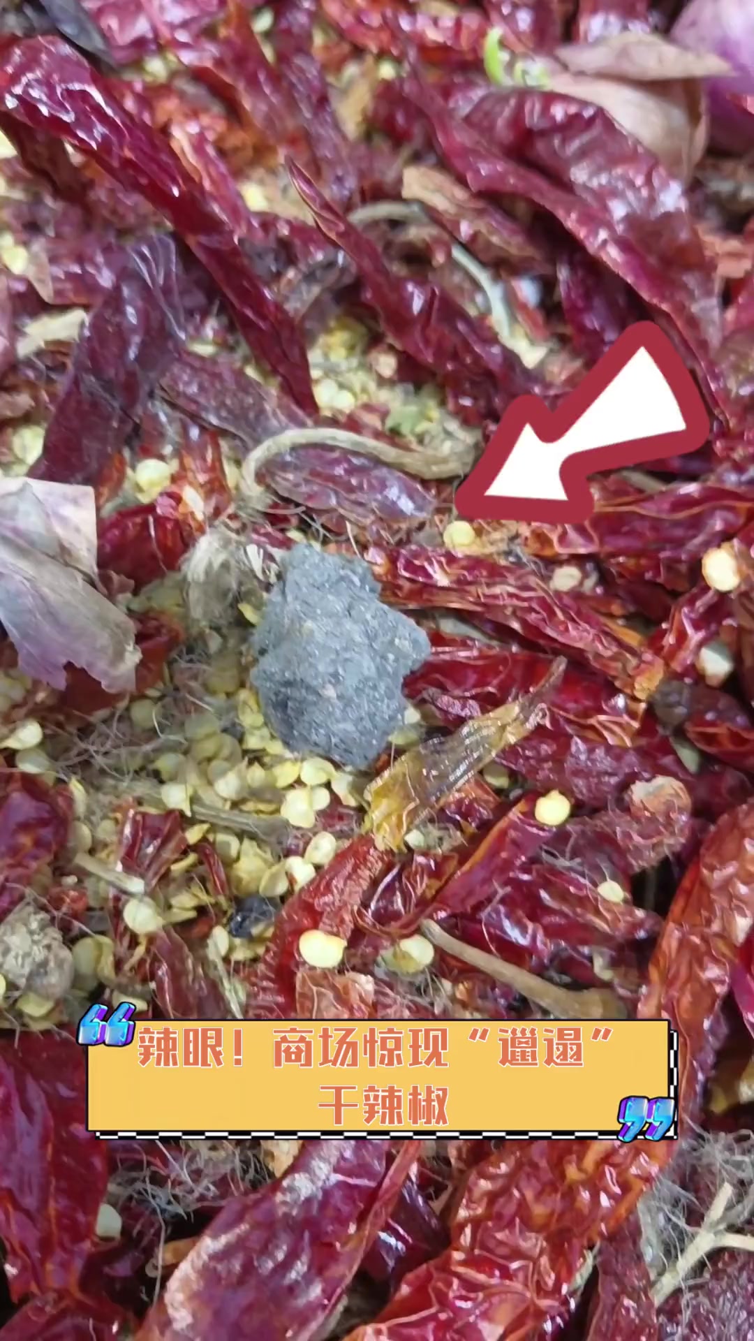 辣眼!商场惊现"邋遢"干辣椒