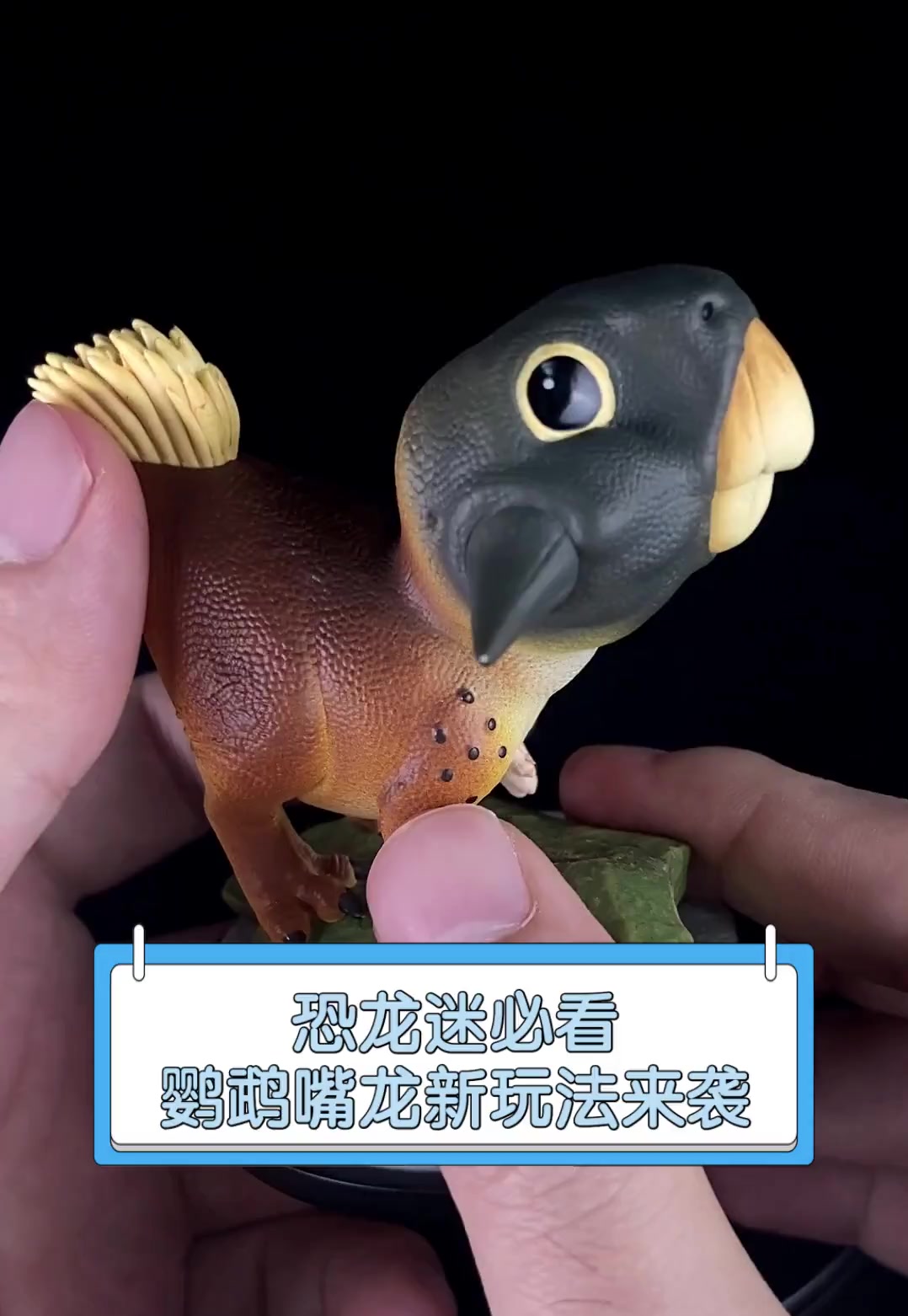 恐龙迷必看,鹦鹉嘴龙新玩法来袭
